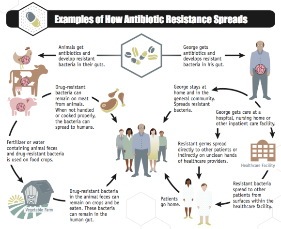 Image from: Antibiotic resistance threats in the United States, Centers for Disease Control, 2013, page 14